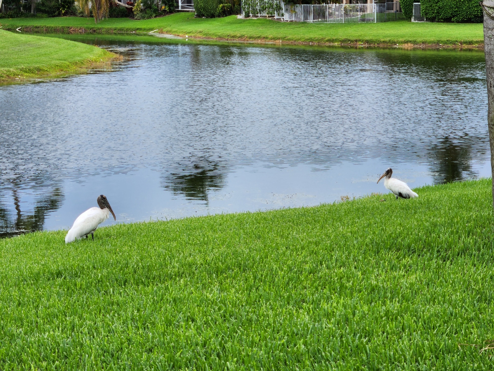 Name:  spyvspy.jpg
Views: 8724
Size:  1.16 MB