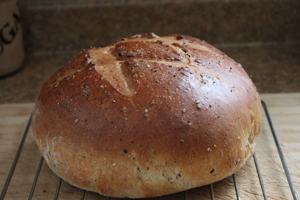 Name:  Olive bread 2.JPG
Views: 3064
Size:  118.8 KB