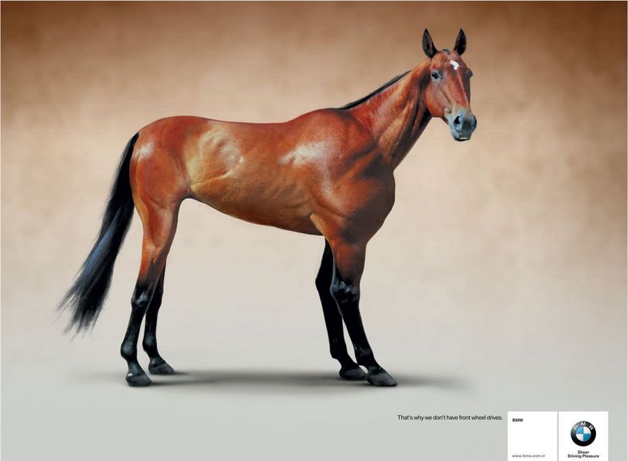 Name:  horse.jpg
Views: 4982
Size:  47.7 KB