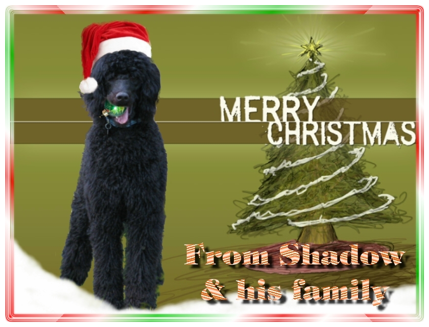 Name:  shadow-christmas-card-3.jpg
Views: 34497
Size:  291.5 KB