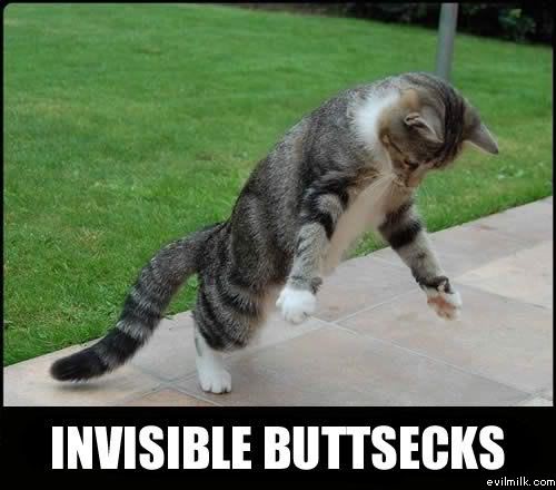 Name:  Invisible_buttsecks.jpg
Views: 23451
Size:  35.0 KB