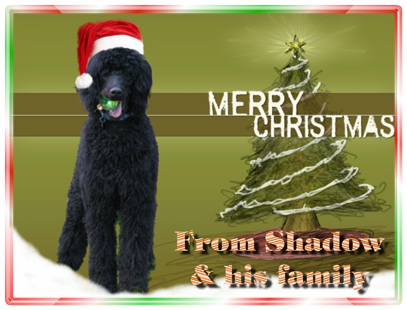 Name:  shadow-christmas-card-3.jpg
Views: 35132
Size:  291.5 KB