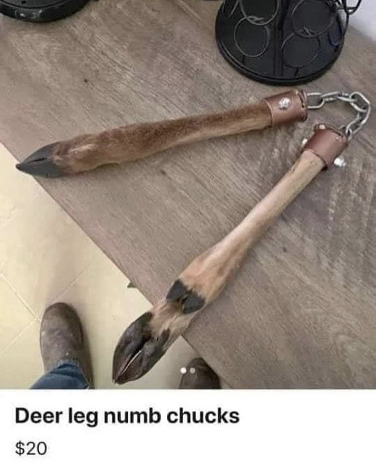 Name:  DEER.jpeg
Views: 1897
Size:  404.7 KB