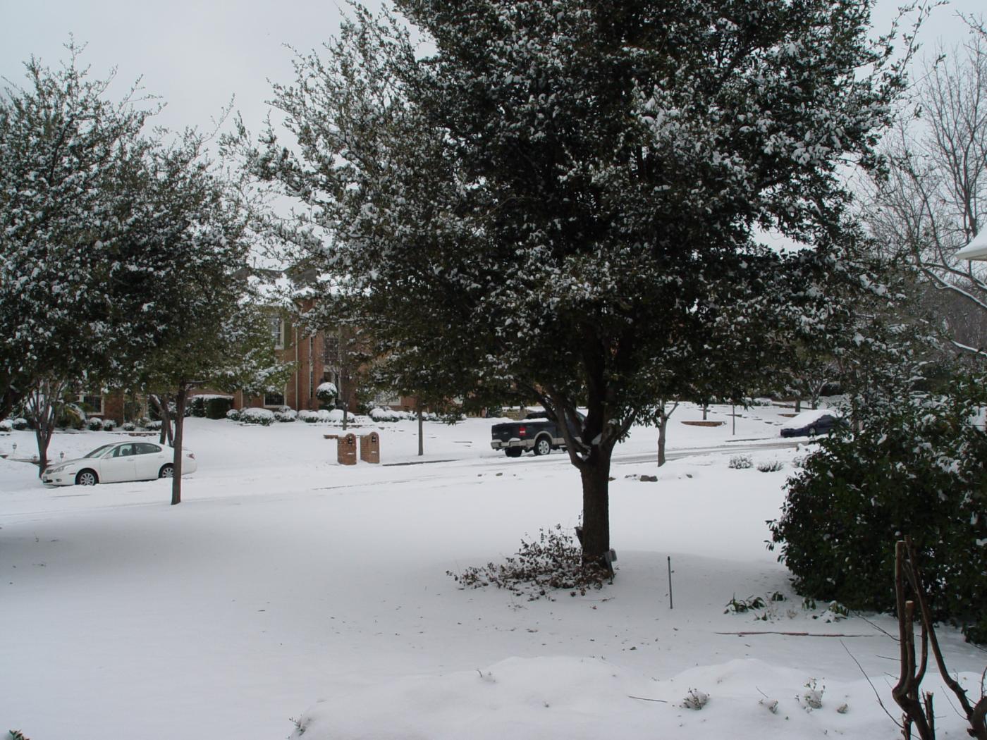 Name:  front yard snow.jpg
Views: 368
Size:  252.8 KB