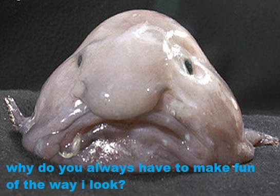 Name:  Blobfish_face.jpg
Views: 772
Size:  50.9 KB